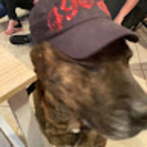 Meet your Posher, Aiden